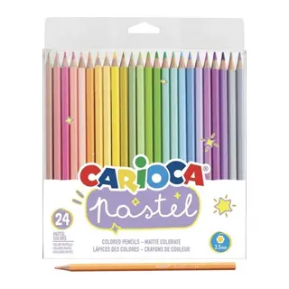 Pastel Renkli Kuru Boya Kalemi 24'lü