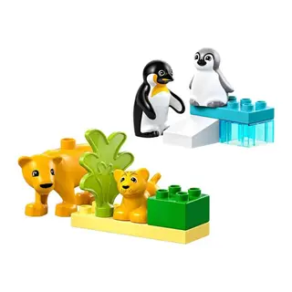 Kasabası Vahşi Hayvan Aileleri: Penguenler ve Aslanlar 10442