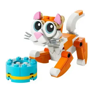 Turuncu Kedi 30714