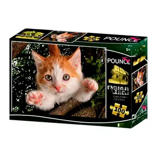 Kedi Pençesi Puzzle 100 Parça