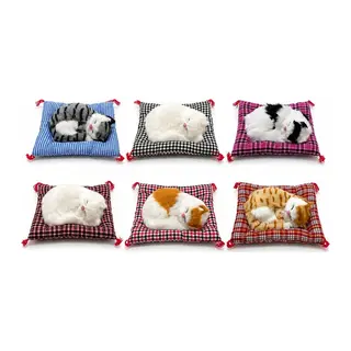 Yastıkta Uyuyan Kedi Sesli Alk24