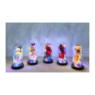 Işıklı Müzikli Cam Fanus İçinde Romantik Gül Alk5004