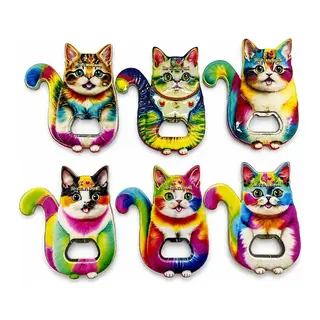 Kedi Tasarımı İstanbul Temalı Buzdolapı Süsü Magnet Alk5407