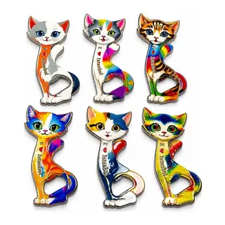 Kedi Tasarımı İstanbul Temalı Buzdolapı Süsü Magnet Alk5409