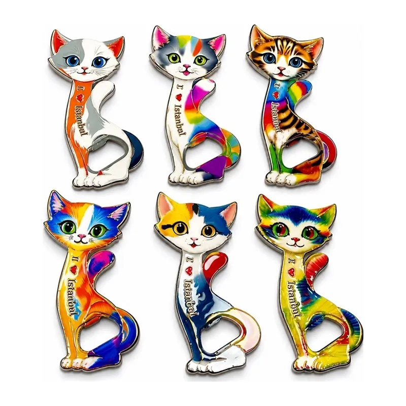 Kedi Tasarımı İstanbul Temalı Buzdolapı Süsü Magnet Alk5409