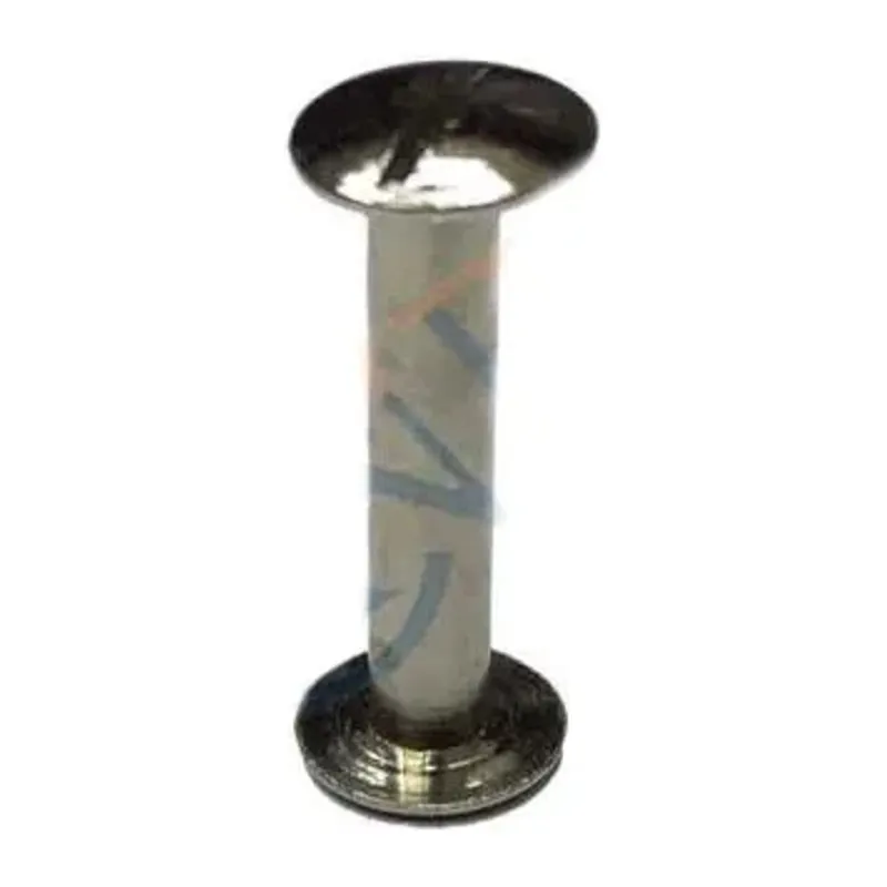 Cilt Menü, Katalog, Kartela Vidası, 20 Mm - Nikel, 1 Adet