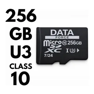 DATAFORCE 256GB U3/CL10 7/24 SURVEILLANCE 100/50MBS HAFIZA KARTI