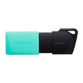 KINGSTON 256GB DataTraveler Exodia M USB 3.2 Gen 1 Flash Bellek DTXM/256GB