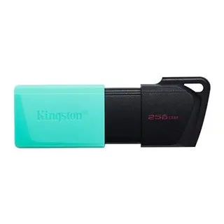 256 GB KINGSTON EXODIA M USB BELLEK 3.2 DT DTXM/256GB
