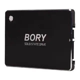 1 TB BORY SATA3 R500-C1T SSD 550/510 MBS (3 YIL GARANTİLİ)