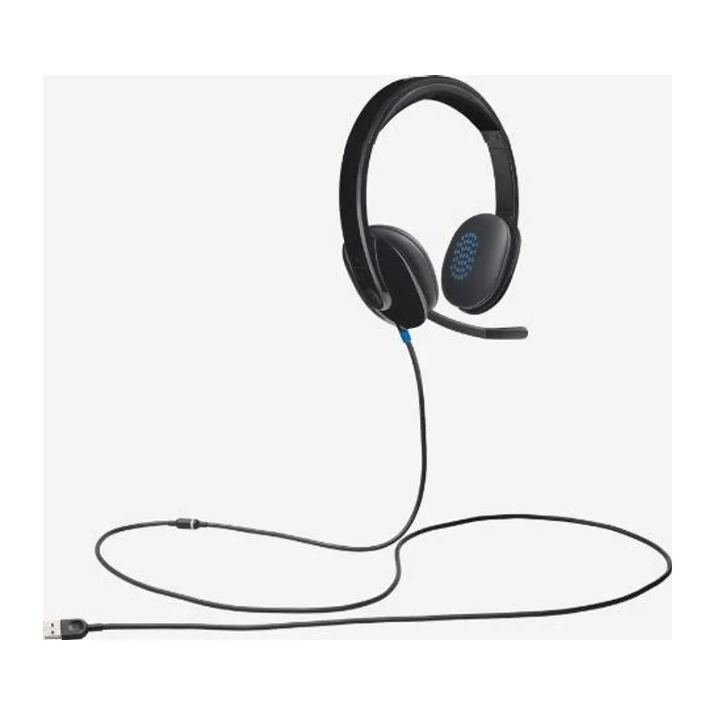 LOGITECH H540 USB SİYAH KULAKLIK 981-000480