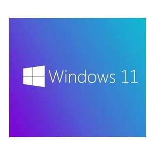 MS WINDOWS 11 PRO 64 BIT TURKCE OEM FQC-10556