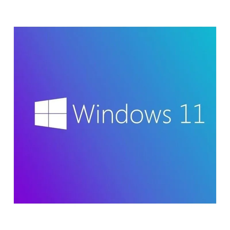 MS WINDOWS 11 PRO 64 BIT TURKCE OEM FQC-10556