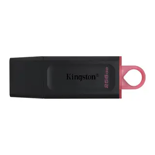 Kingston 256GB USB3.2 Gen1 DataTraveler Exodia (Black + Pink)