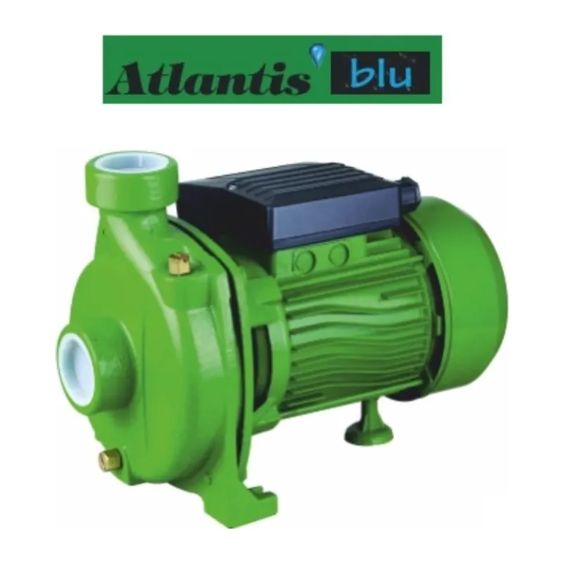 Atlantis CM20 1 HP Tek Kademeli Santrifuj Pompa