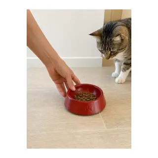 Pati Desen Model Beton Kedi Köpek Mama Ve Su Kabı 13 Cm Çap X 4 Cm - Kiremit