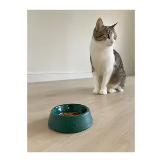 Pati Desen Model Beton Kedi Köpek Mama Ve Su Kabı 13 Cm Çap X 4 Cm - Yeşil
