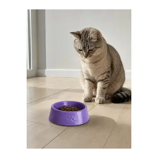 Pati Desen Model Beton Kedi Köpek Mama Ve Su Kabı 13 Cm Çap X 4 Cm - Mor