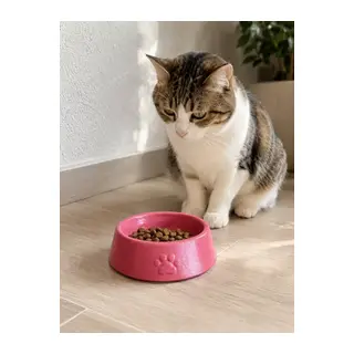 Pati Desen Model Beton Kedi Köpek Mama Ve Su Kabı 13 Cm Çap X 4 Cm - Pembe