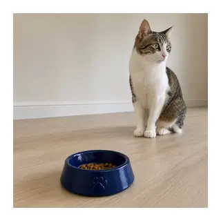 Pati Desen Model Beton Kedi Köpek Mama Ve Su Kabı 13 Cm Çap X 4 Cm - Lacivert