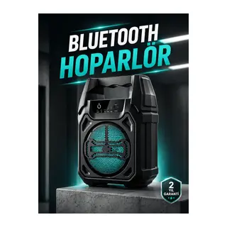 Kablosuz 6.5 İnç TWS Bluetooth Hoparlör