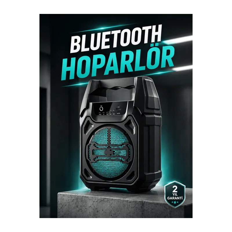 Kablosuz 6.5 İnç TWS Bluetooth Hoparlör