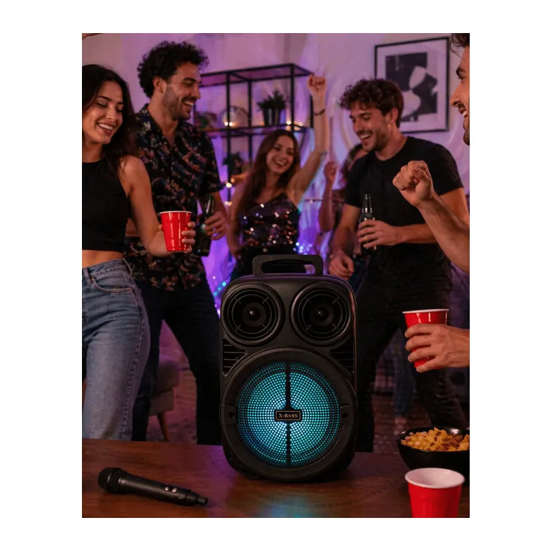 Kablosuz Karaoke Hoparlör Mikrofonlu RGB Işıklı 6.5 İnç Bluetooth Speaker Taşınabilir