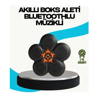 Ev Tipi Akıllı Boks Duvar Paneli Müzikli Bluetoothlu Refleks Geliştirme Cihazı