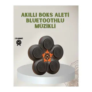 Bluetoothlu Akıllı Boks Antrenman Cihazı Işıklı Hedefli Kardiyo ve Fitness Aleti