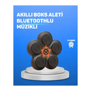 Müzikli Boks Duvar Paneli Akıllı Işık Sistemli Refleks ve Kondisyon Aleti