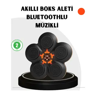 Evde Fitness İçin Akıllı Boks Makinesi Işıklı Vuruş Noktalı Bluetoothlu