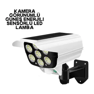 V070 SOLAR LAMBA