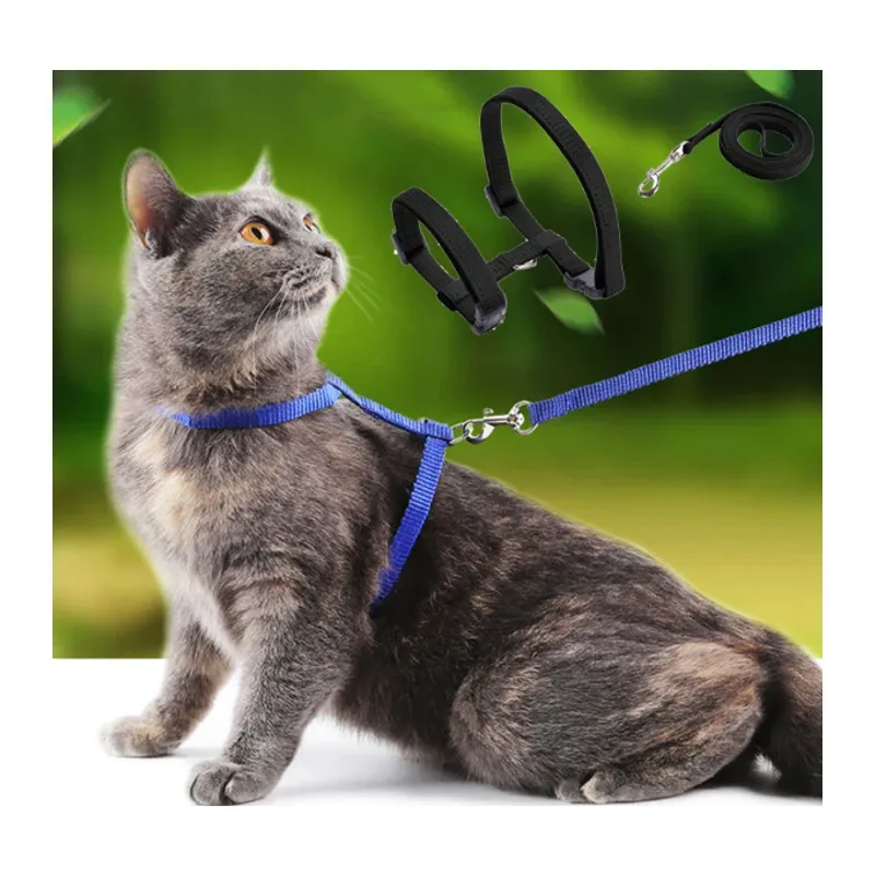 Kedi Tasması