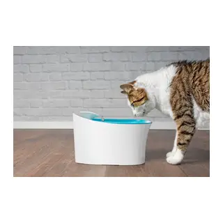 Otomatik Uyarılı Kedi Köpek Su Kabı