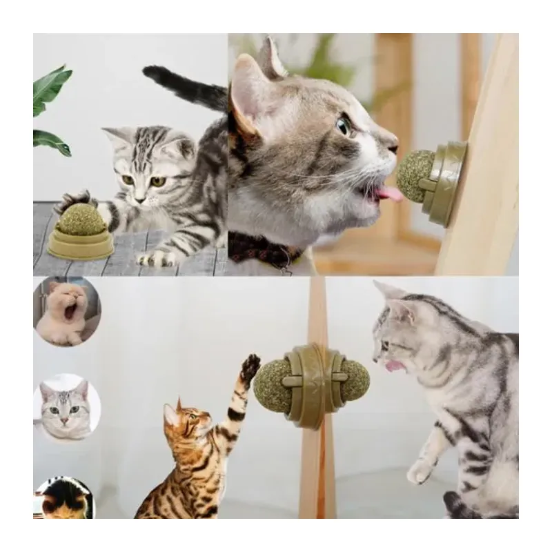 Kedi Nanesi Oyun Topu