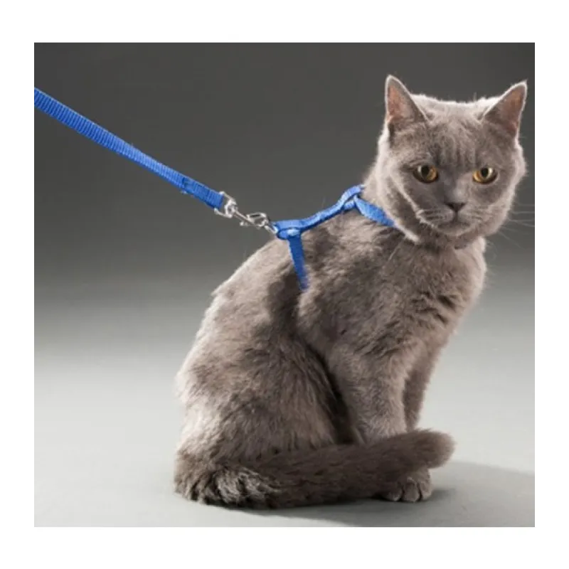 Kedi Boyun ve Göğüs Tasması