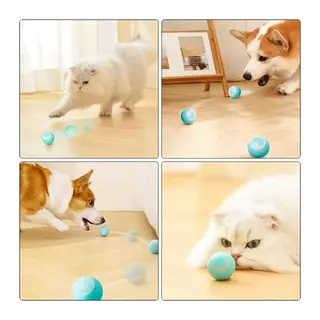 İnteraktif Kedi Köpek Şarjlı Oyun Topu