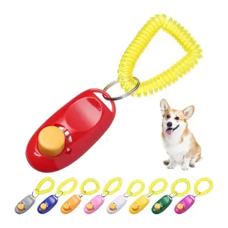 KÖPEK EĞITIMI CLICKER
