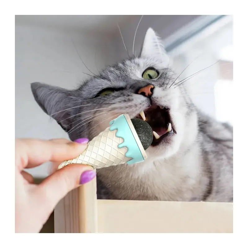 DONDURMA ŞEKLİNDE KEDİ NANESİ KEDİ OTU