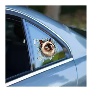 Fulcar Siamesse Araç Stickerı