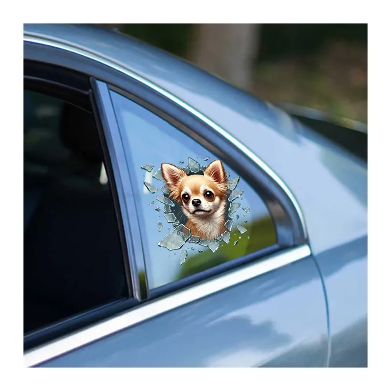 Fulcar Chiuahua Araç Stickerı