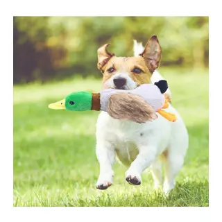 Sesli Ördek Şekilli Peluş Köpek Oyuncağı
