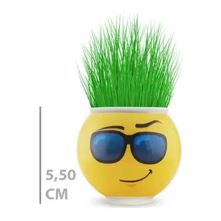 Çim Adam Saksı Emoji Figürlü 1 Adet