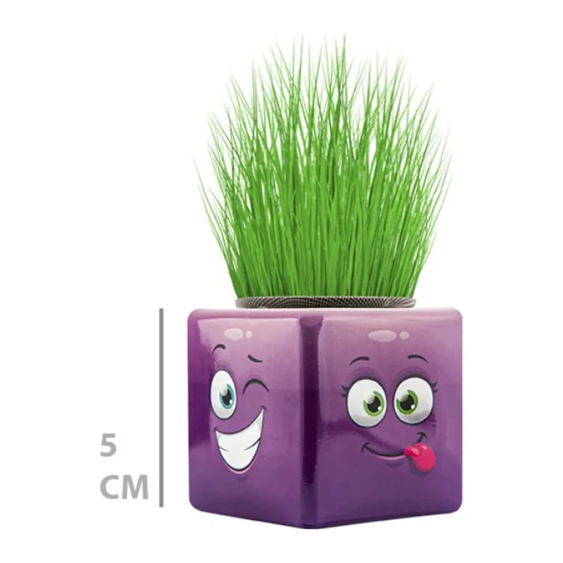 Çim Adam Mini Küp Emoji Figürlü 1 Adet