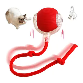 Şarjlı Kedi Oyuncağı