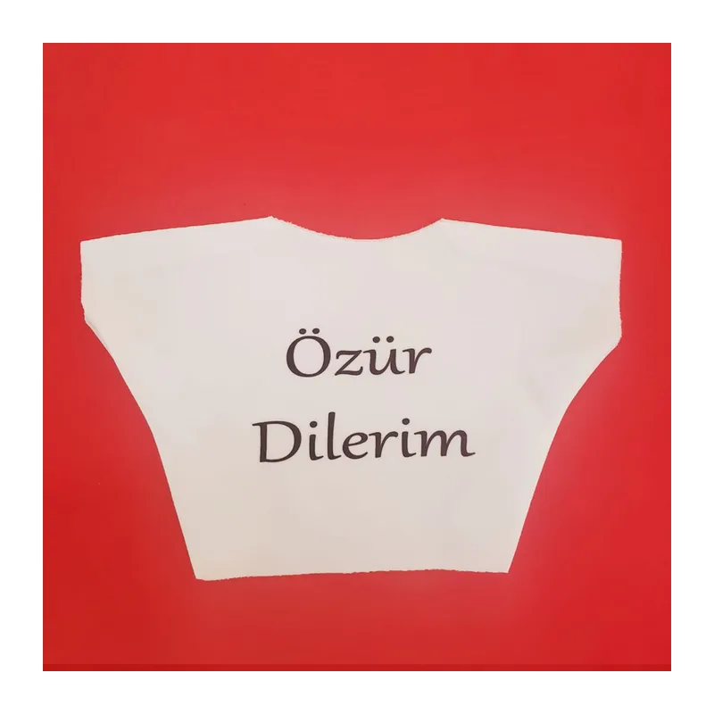 Özür Dilerim Yazılı Peluş Oyuncak Ayı Tişörtü