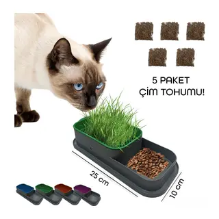 Topraksız Kedi Çimi Kabı