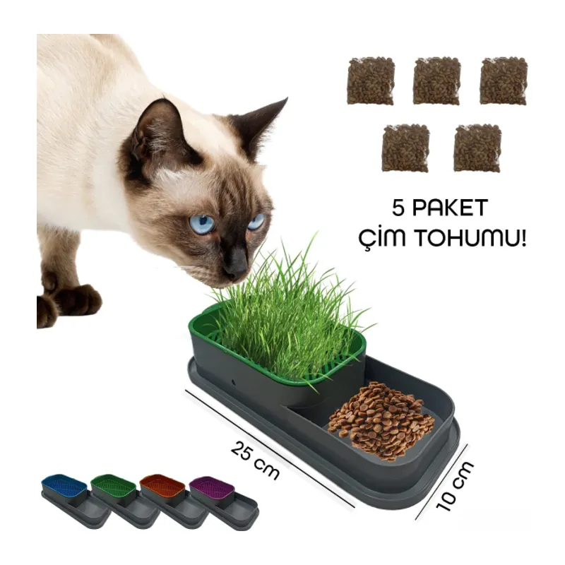Topraksız Kedi Çimi Kabı