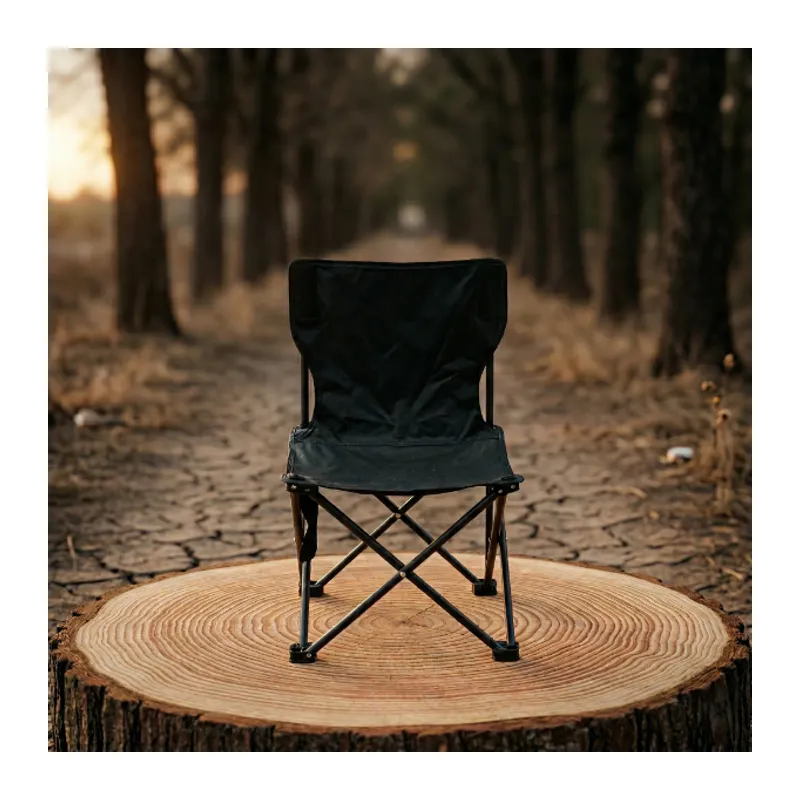 Kamp Ve Balıkçı Sandalyesi