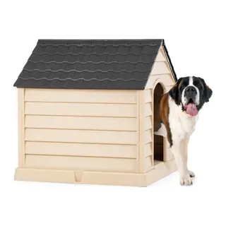 Büyük Köpek Kulübesi